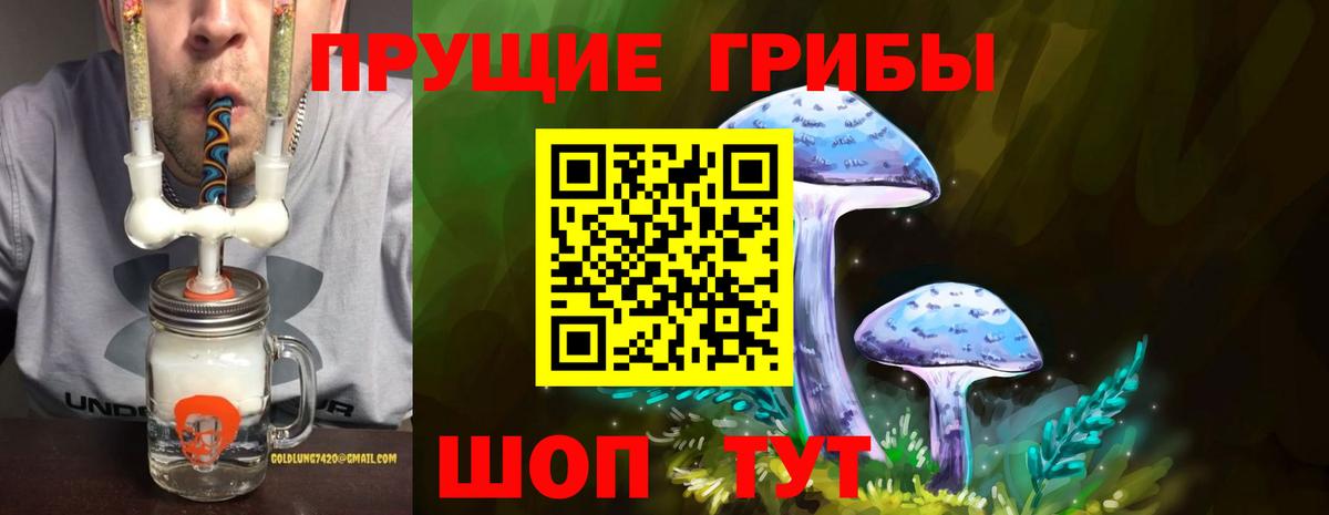 Туапсе  купить   Псилоцибиновые грибы MAGIC MUSHROOMS  Вход с VPN  Галлюциногенные грибы MAGIC MUSHROOMS 